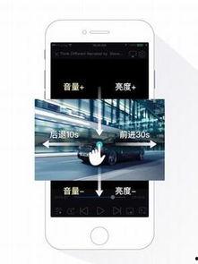 牛牛精品在线视频播放,畅享视听盛宴，尽在指尖