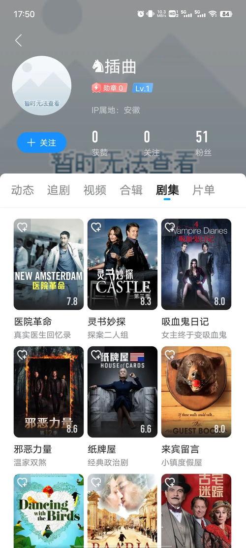 国内欧美的在线视频,探索中美视频平台的魅力与差异