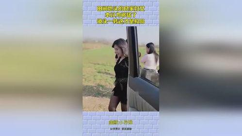 极品良家 在线视频,真实与虚构的交织