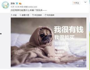 黑科技搞笑在线视频