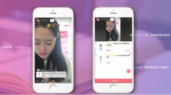 在线视频直播系统,揭秘在线视频直播系统的魅力与挑战