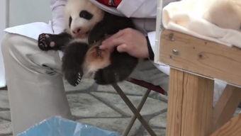 另类舔肛在线视频